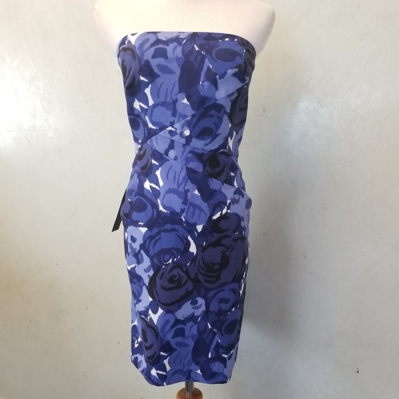 Ann Taylor Dresses & Skirts - NWT Ann Taylor rose dress (G11-7)